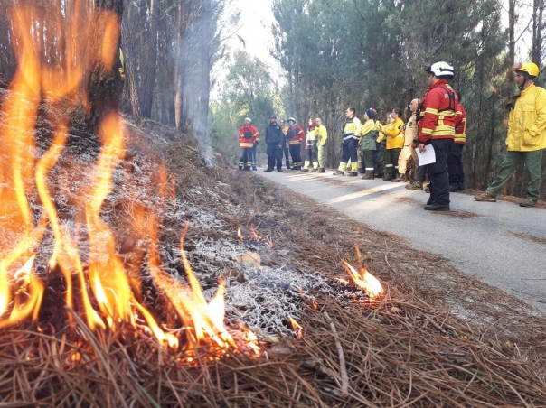 Aes de Queima e Credenciao de Tcnicos de Fogo Controlado