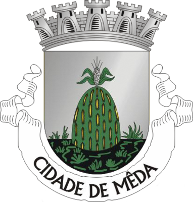 http://cm-meda.pt/