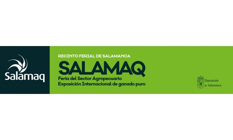 Salamaq 2019